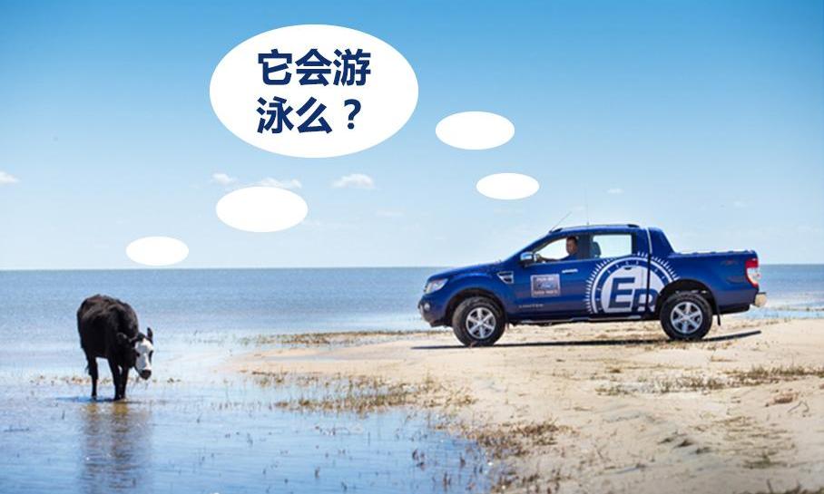 逍客,本田,福特,马自达,马自达CX-5
