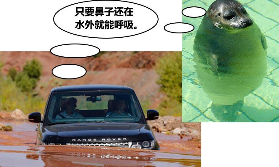 逍客,本田,福特,马自达,马自达CX-5
