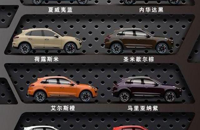众泰,保时捷,Macan,远程,三菱