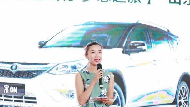 比亚迪,奔腾