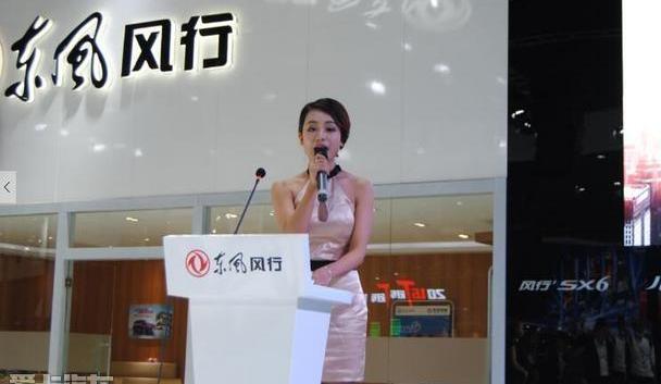 菱智,东风风行,东风,三菱,汉