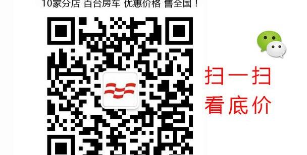 大众,奔驰,福特,DS,林肯