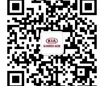 起亚,东风,世纪,宝马,保时捷