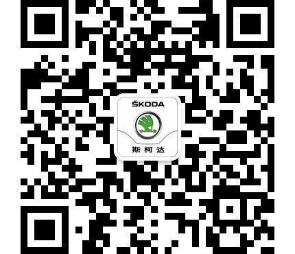 斯柯达,大众,DS,理念