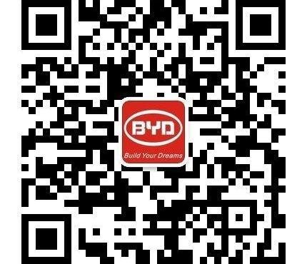 比亚迪,北京,汉,东风,长安