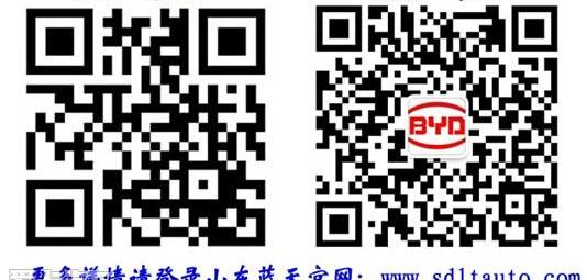 比亚迪