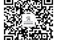 标致,东风,现代,标致408