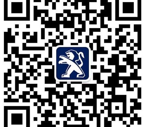 标致,东风,现代,标致408