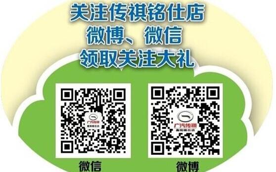 广汽传祺,理念,保时捷