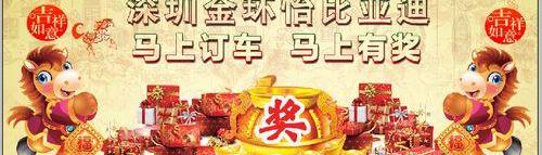 比亚迪,发现