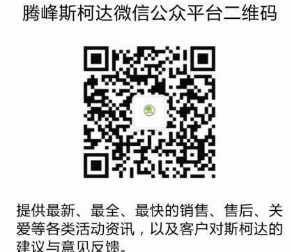 斯柯达,大众,DS,骆驼,理念