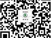 斯柯达,大众,DS,理念,昕锐