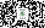 斯柯达,大众,理念,DS,现代