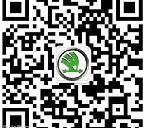 斯柯达,大众,理念,DS,明锐