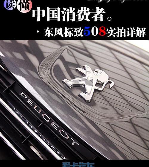 标致,东风,雪铁龙,奥迪,宝马