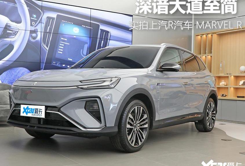 理念,荣威,宝马,宝马iX3,斑马
