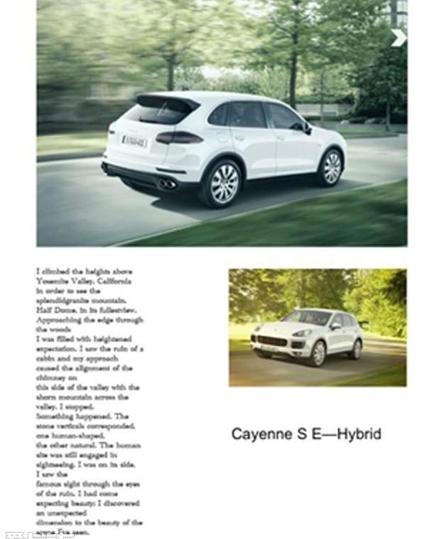 Cayenne,保时捷,Panamera