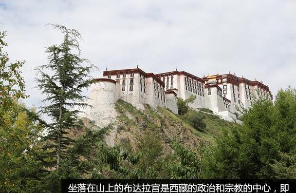 保时捷,世纪