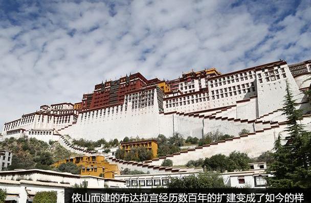 保时捷,世纪