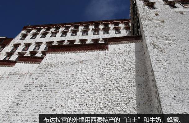 保时捷,世纪