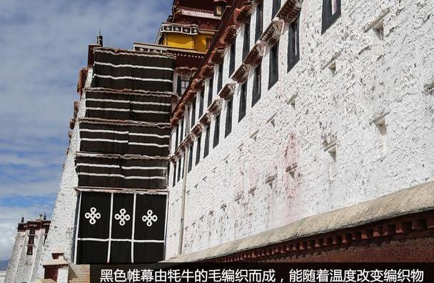 保时捷,世纪