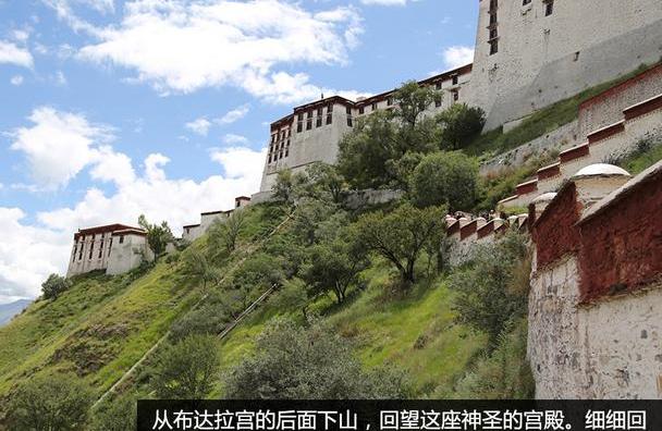 保时捷,世纪