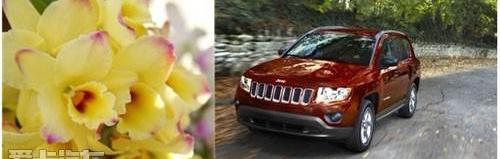 Jeep,保时捷,Cayenne,大众,理念
