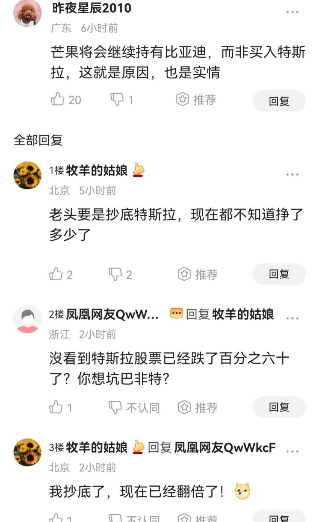 比亚迪,特斯拉