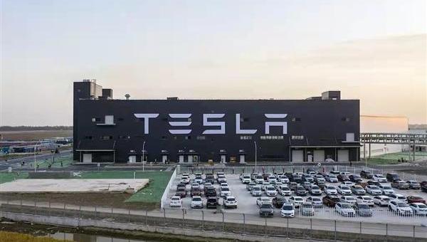 特斯拉,Model Y,Model 3