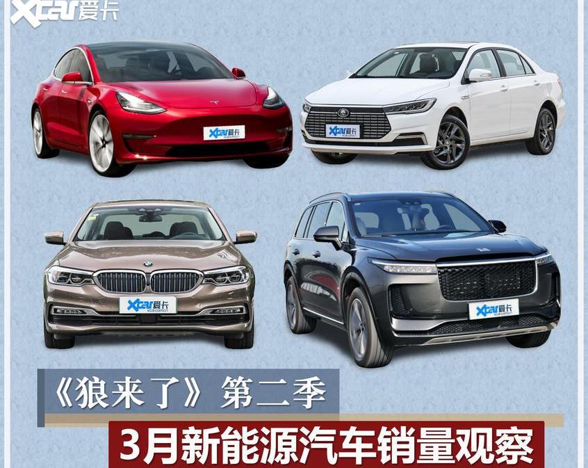Model 3,特斯拉,宝马,蔚来,比亚迪