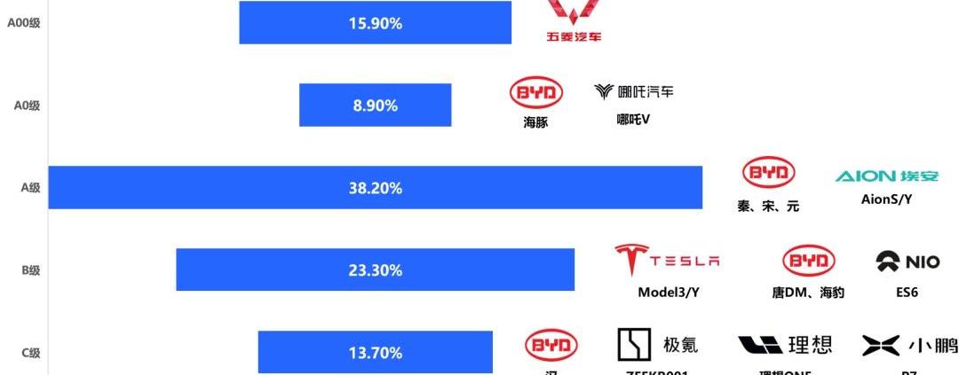 特斯拉,比亚迪,埃安,汉,宝马