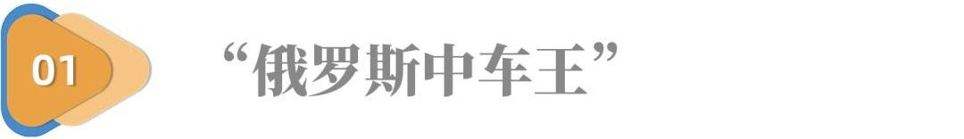 长城,哈弗,江淮,思皓,思皓X4
