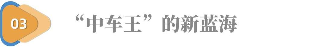 长城,哈弗,江淮,思皓,思皓X4