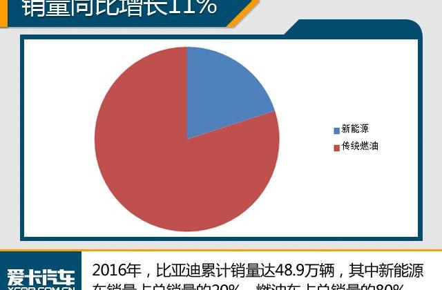 比亚迪,远程