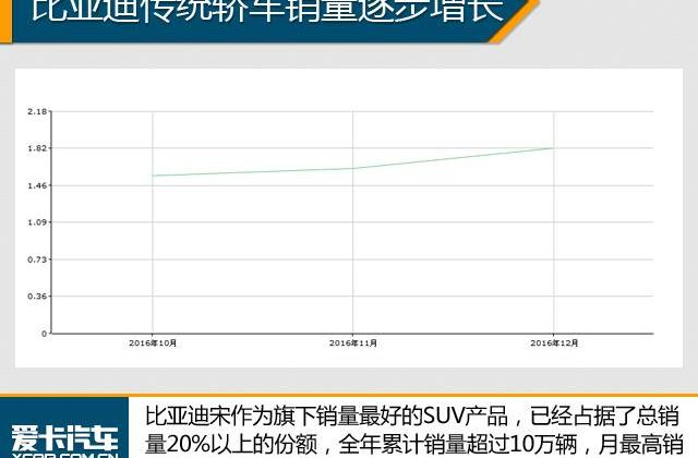 比亚迪,远程
