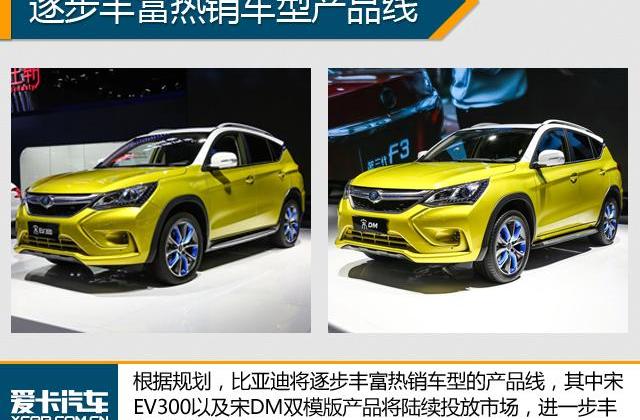 比亚迪,远程