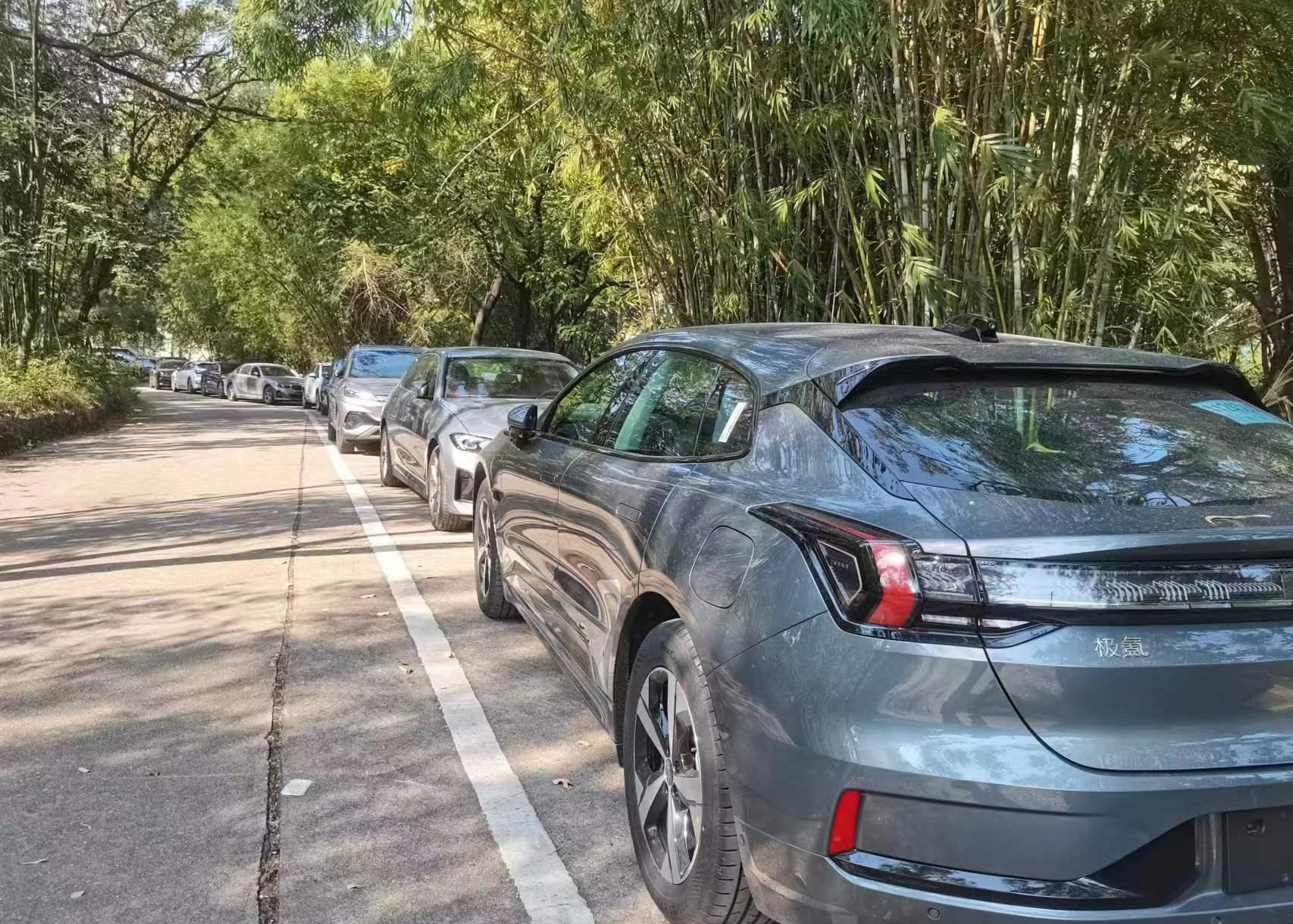 比亚迪,特斯拉,埃安,极氪,蔚来