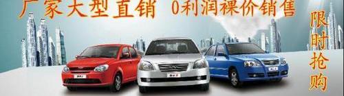 奇瑞,比亚迪,朗逸,东南,帝豪
