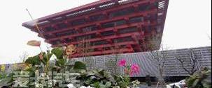 汉,保时捷,标致,大众,丰田