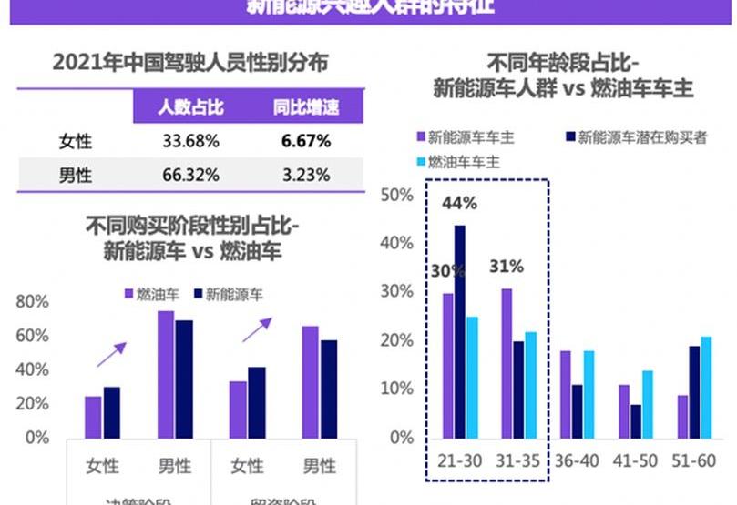欧拉,长城,MINI,宏光MINIEV,比亚迪
