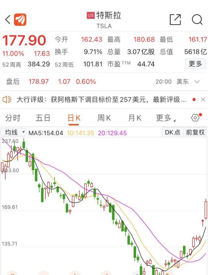 特斯拉,Model 3,比亚迪,海豚,Model Y