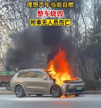 理想L9,奔驰,宝马,理想汽车,宝马X7
