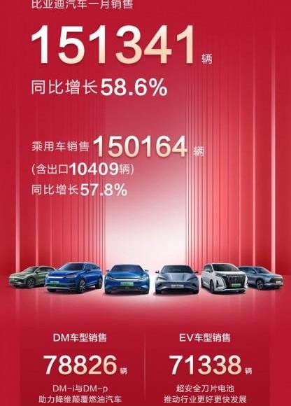 小鹏,比亚迪,埃安,极氪,理想汽车