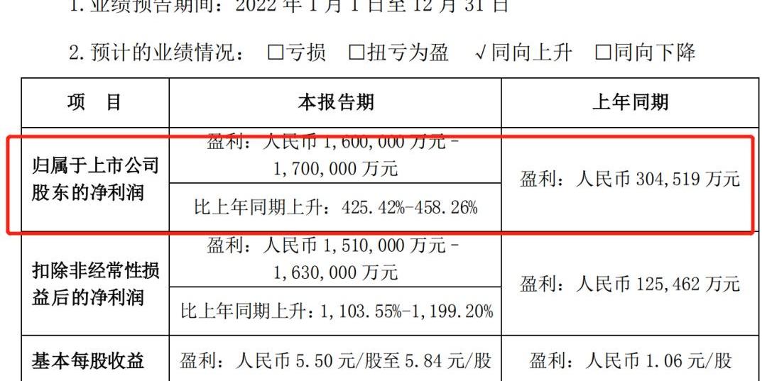 比亚迪,特斯拉