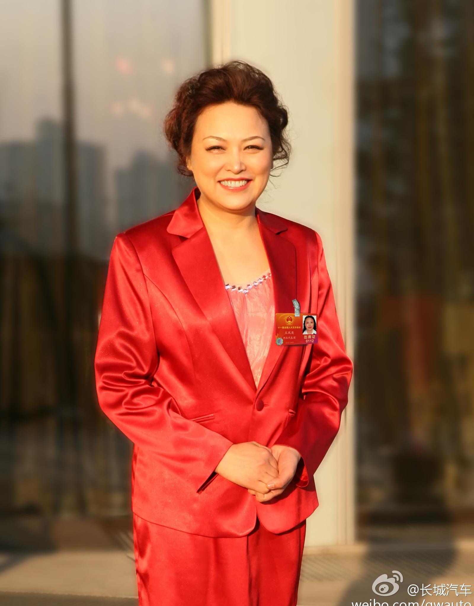 小鹏,长城,埃安,比亚迪,东南