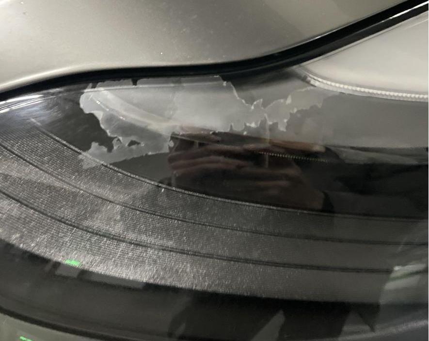 特斯拉,Model Y,发现