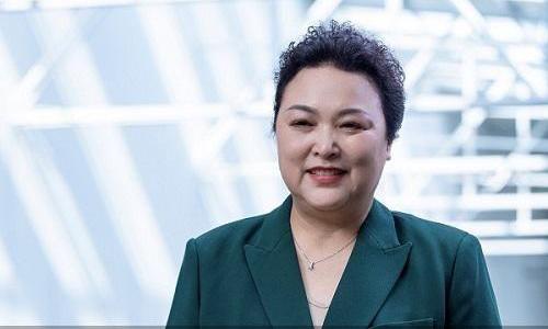 小鹏,长城,合创,理念,北京