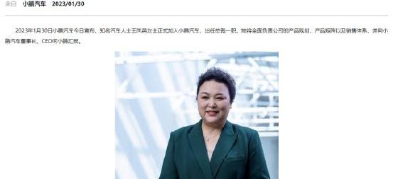 小鹏,比亚迪,长城,理想汽车,埃安