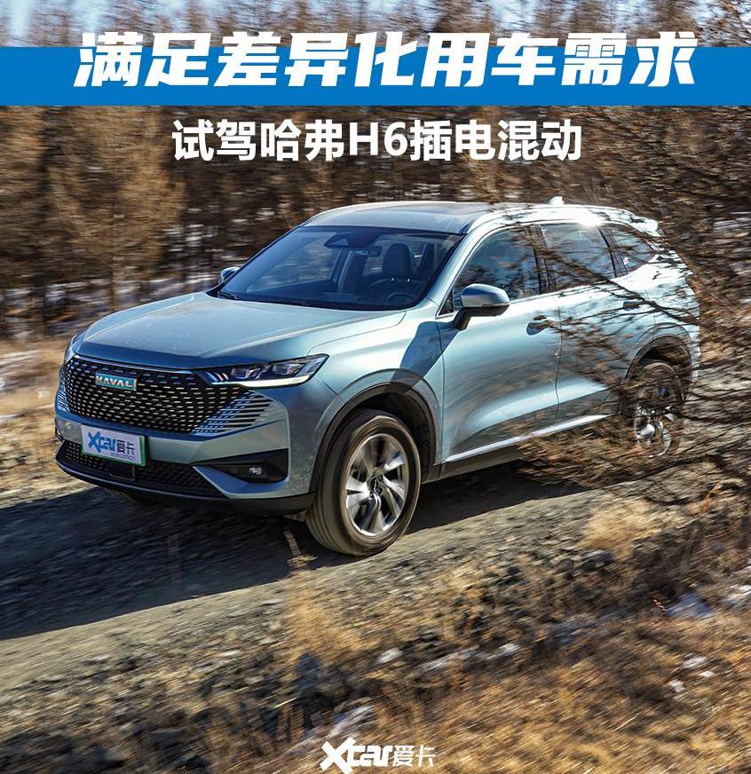哈弗,哈弗H6,哈弗H6 DHT-PHEV