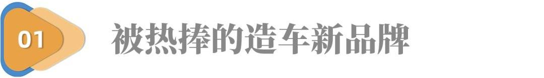 极氪,特斯拉,比亚迪,蔚来,奥迪